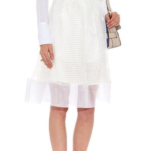 Elizabeth and James silk Avenue size 0 skirt.